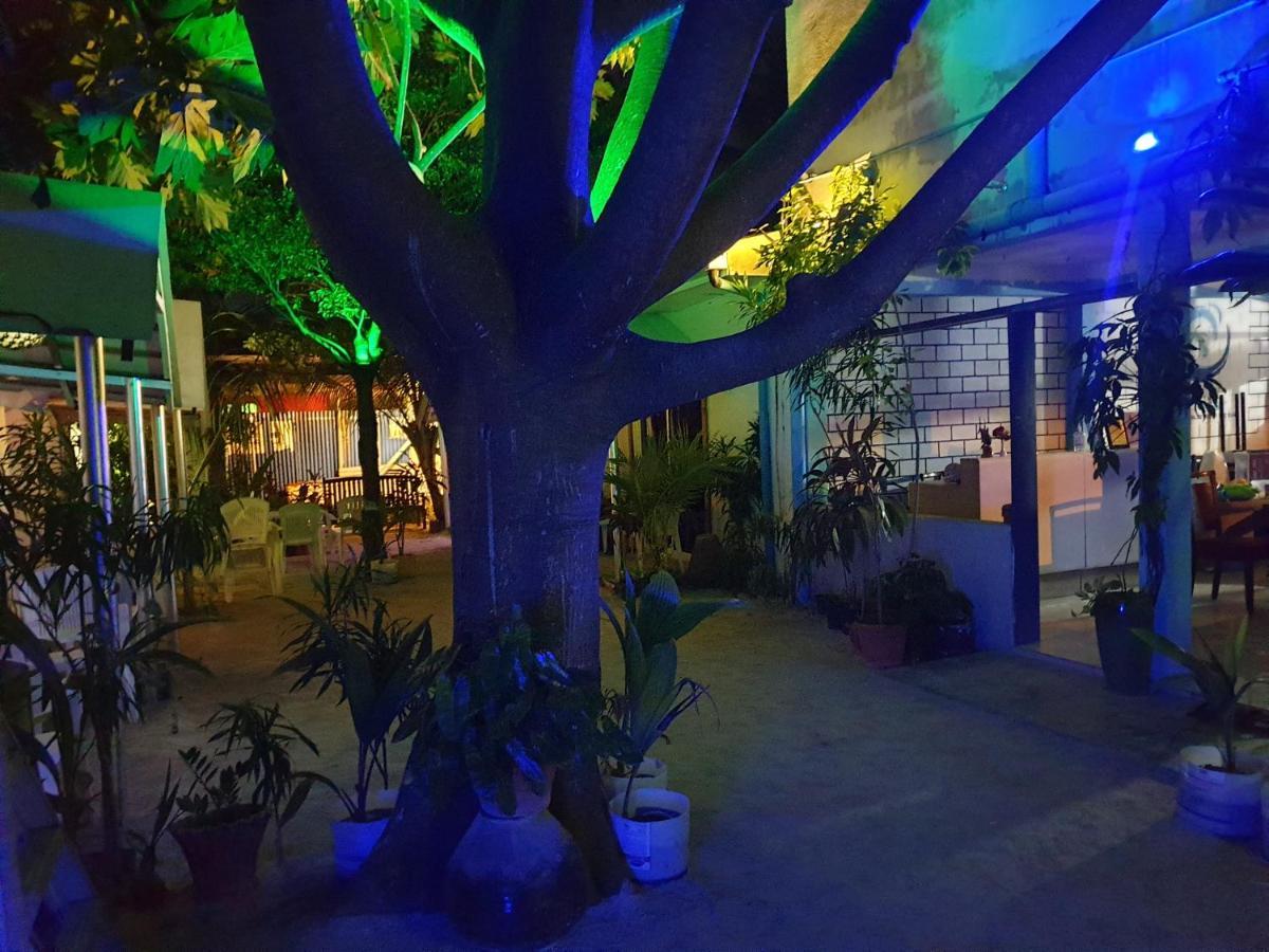 Maafushi View Hotel Luaran gambar