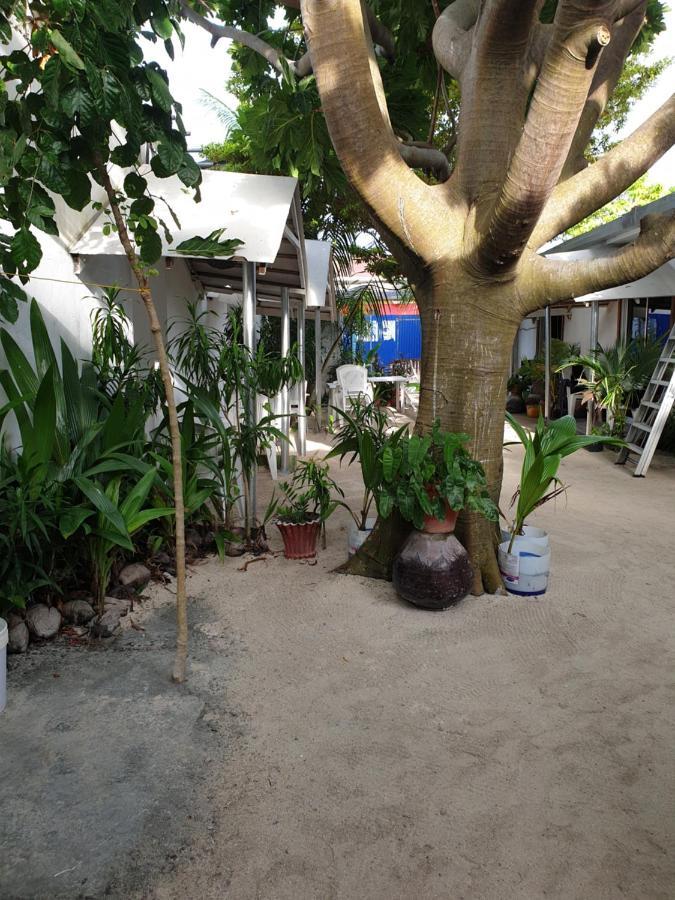Maafushi View Hotel Luaran gambar