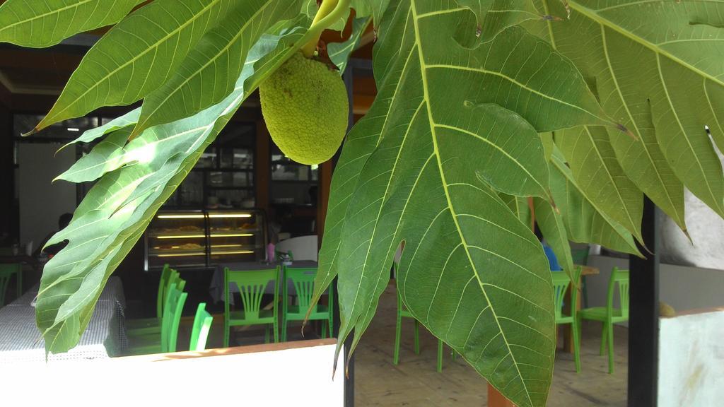 Maafushi View Hotel Luaran gambar