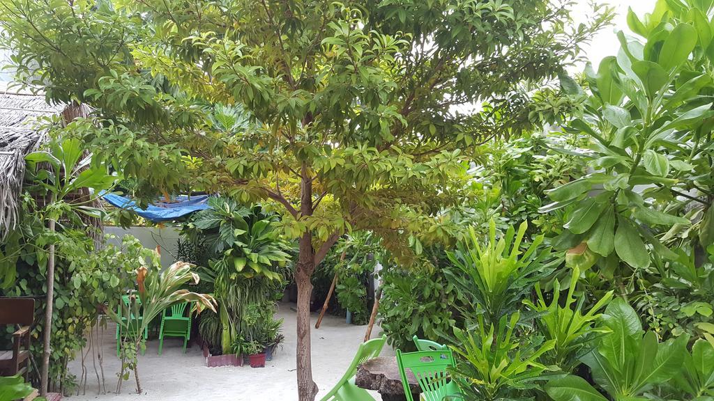 Maafushi View Hotel Luaran gambar